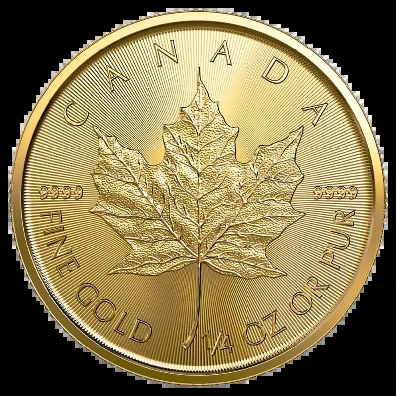 1/4 oz Maple Leaf Gold Coin | 2023