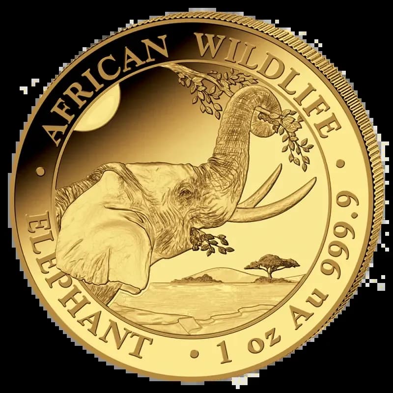 1 oz Somalia Elephant Gold Coin | 2023