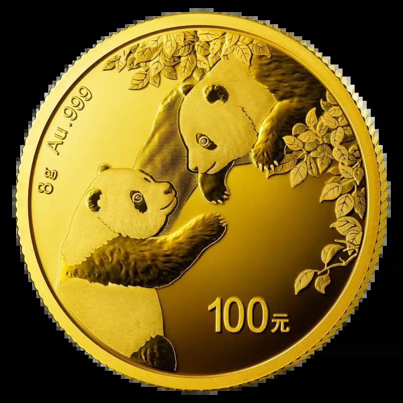 8g China Panda Gold Coin | 2023