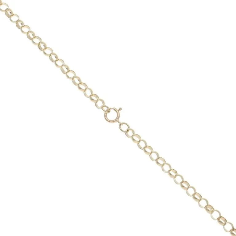 9ct Yellow Gold Belcher Chain 20″