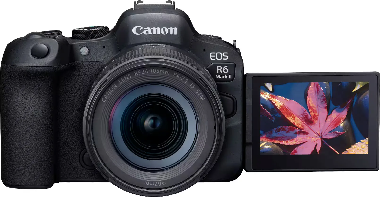 Canon EOS R6 Mark II Mirrorless Camera (Body)